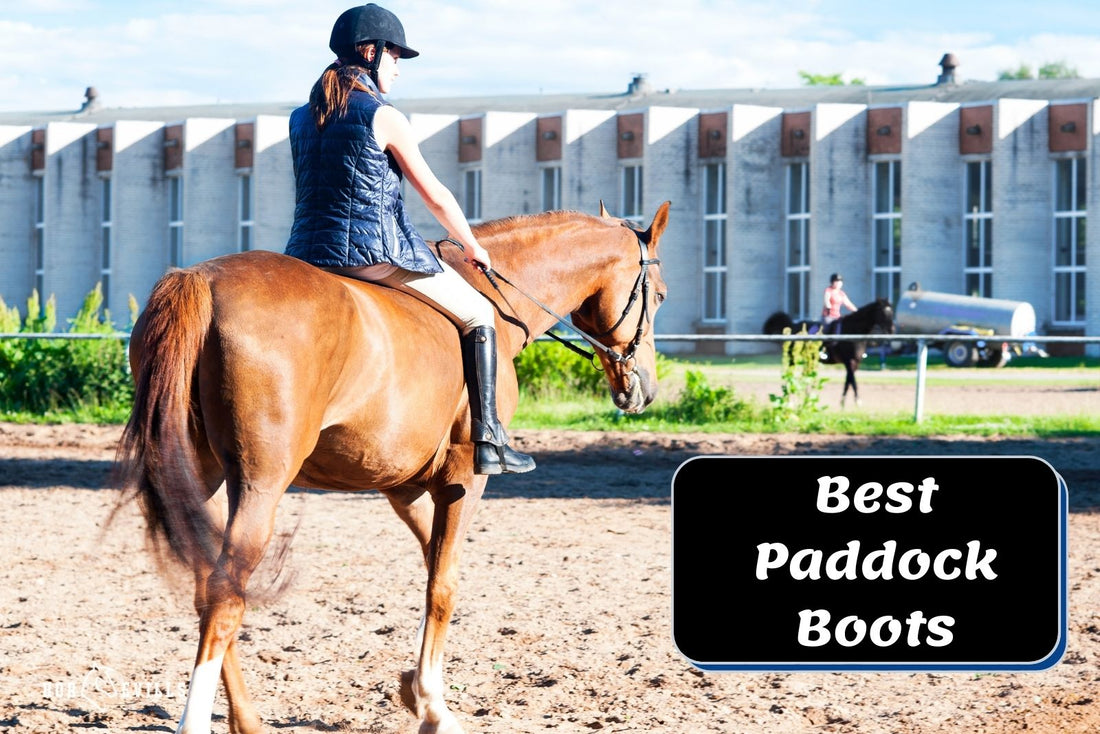 Top 14 Paddock Boots for Riding (Expert's Review)