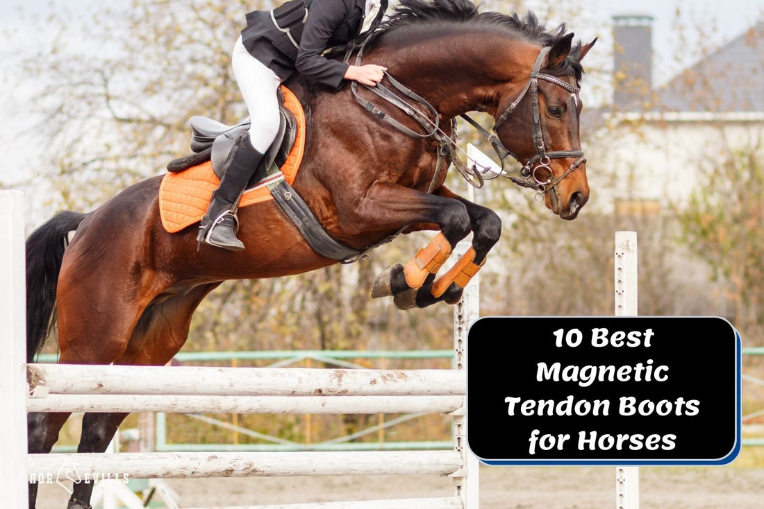 Top 10 Magnetic Tendon Boots for Horses