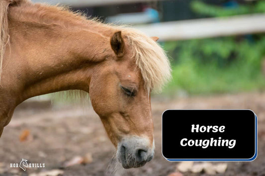 Horse Coughing: What Does it Mean & When to Worry + Remedies