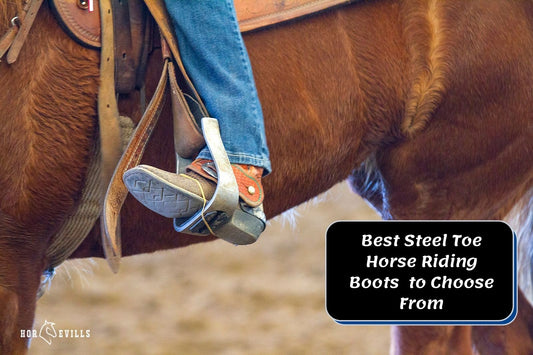 8 Best Steel Toe Horse Riding Boots [Expert's Top Picks Review]