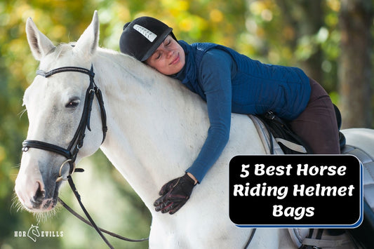 Top 5 Horse Riding Helmet Bags (Buying Guide)