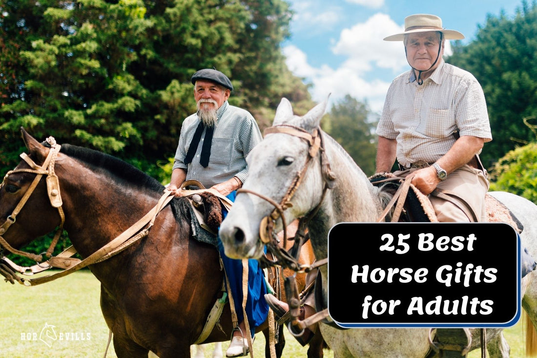 Top 25 Horse Gifts for Adult Horse Lovers You Can Buy!