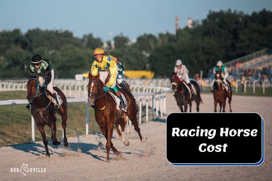 How Much Does a Racing Horse Cost in 2024? Tips for Buying