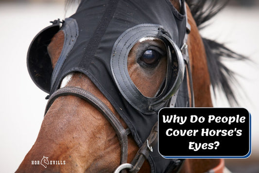 Horse Eye Covering: 5 Reasons Why People Cover Horse's Eyes