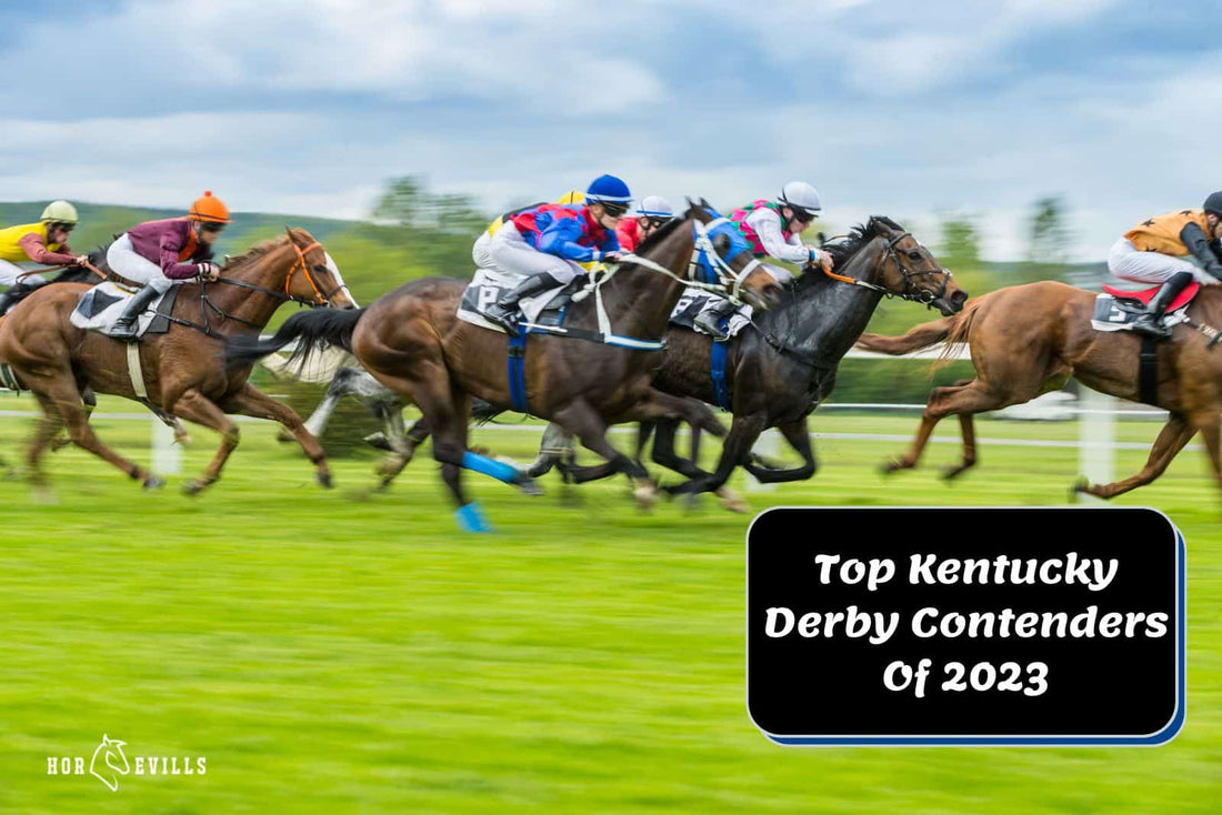 Meet the Front-Running Kentucky Derby Contenders of 2023!