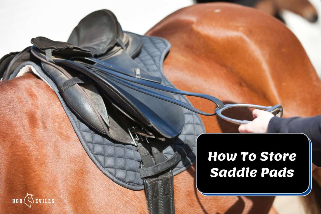 How To Store Saddle Pads [Easy Care &amp; Budget Friendly Tips]