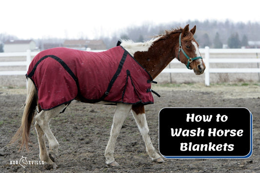 Horse Blanket Washing (Step By Step Guide)