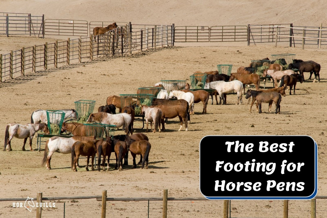 The 5 Best Footing for Horse Pens (Expert Equestrian Tips)