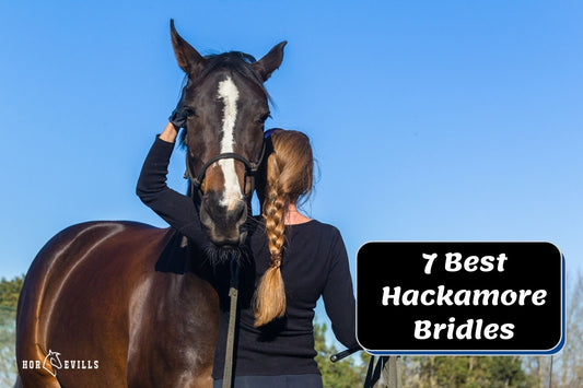 7 Best Hackamores for Horses (Buying Guide)