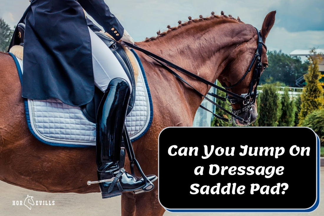 Can You Use a Dressage Saddle Pad for Jumping? (Equestrian Tips)