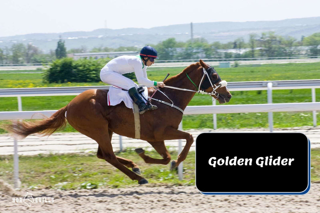 Golden Glider: A Winning Profile at Belmont Stakes