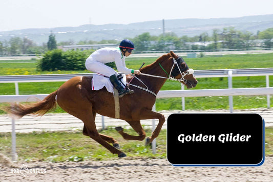 Golden Glider: A Winning Profile at Belmont Stakes