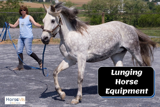 Lunging Equipment for Horses: How to Properly Use Them