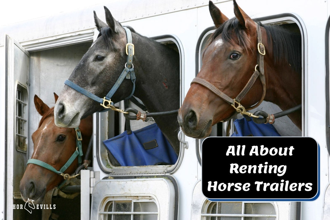 Everything You Need to Know About Renting Horse Trailers