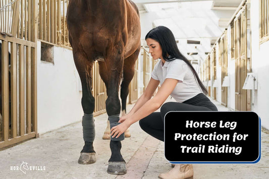 Horse Leg Protection for Trail Riding: Experts Reveal Truth