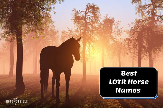 300+ Best LOTR Horse Names for Your Favorite Equine Friend