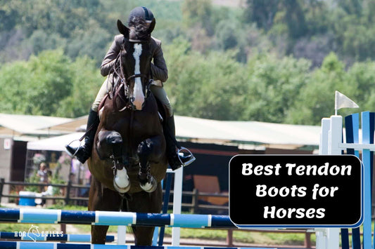 Top 13 Best Tendon Boots for Horses in 2024 - Expert Picks