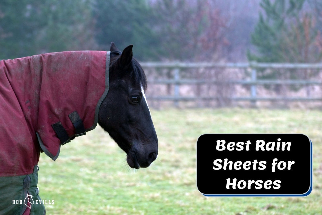 7 Best Rain Sheets for Horses to Keep Them Dry [Review]