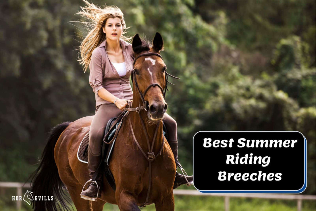 13 Best Summer Riding Breeches (April 2024 Update)