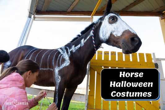 35 Pretty Halloween Costumes for Your Horses to Try