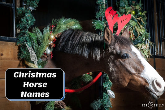 105 Clever Christmas Horse Names You'll Love