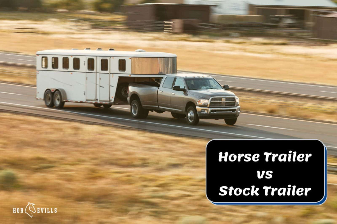 Horse Trailer VS Stock Trailer: How Are They Different?