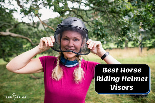 8 Best Horse Riding Helmet Visors You Should Try