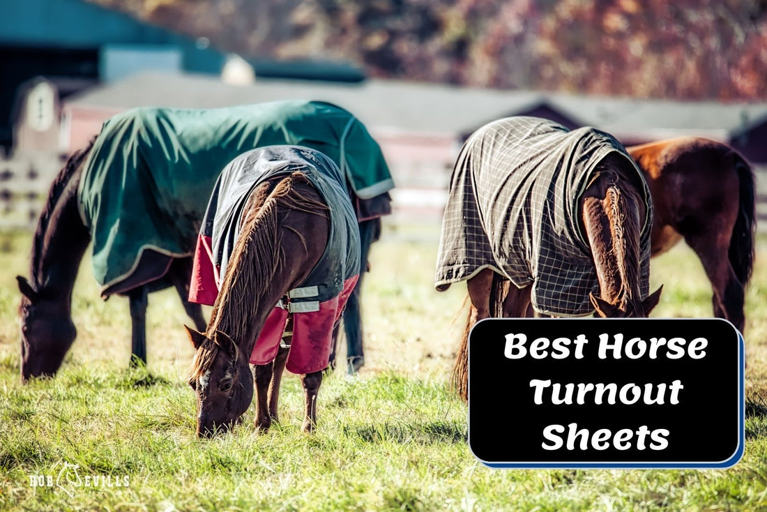 8 Best Horse Turnout Sheets (Equestrian Expert Review)