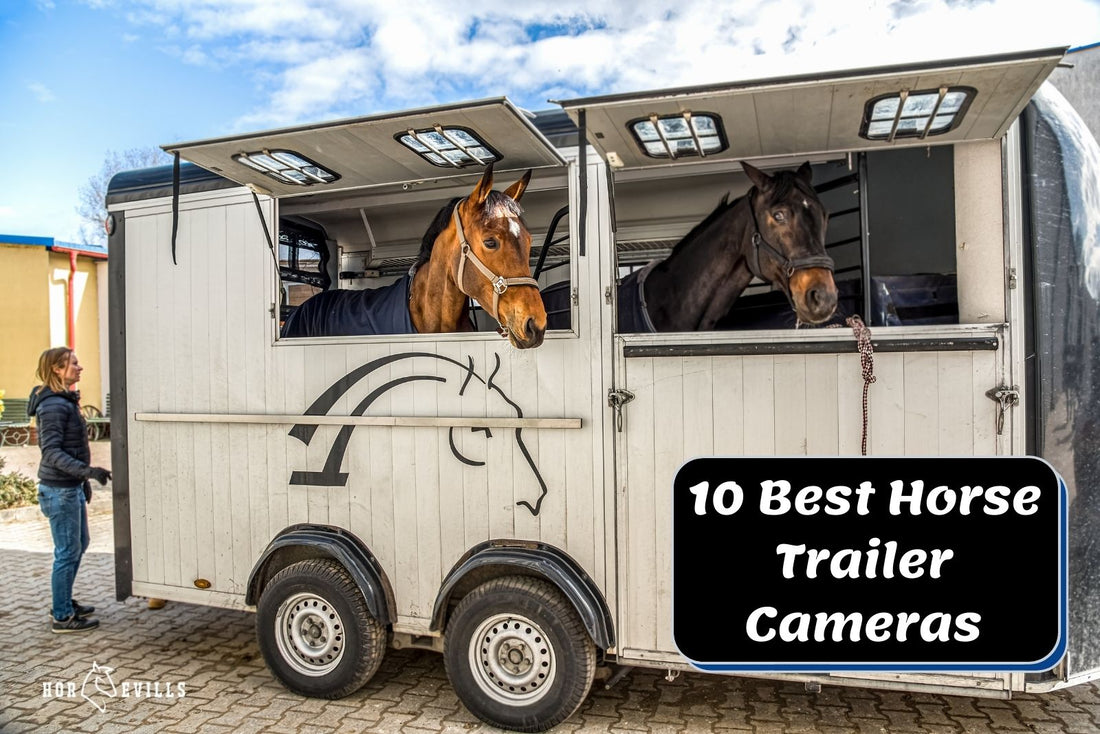 Top 10 Horse Trailer Cameras in 2024 (Buying Guide)