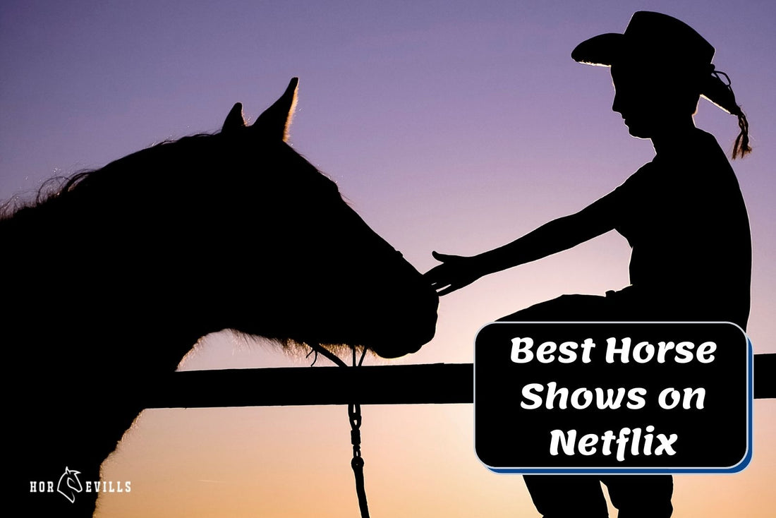 28 BEST Horse Shows on Netflix to Binge-Watch at Home!