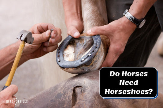 Why Do Horses Need Horseshoes?