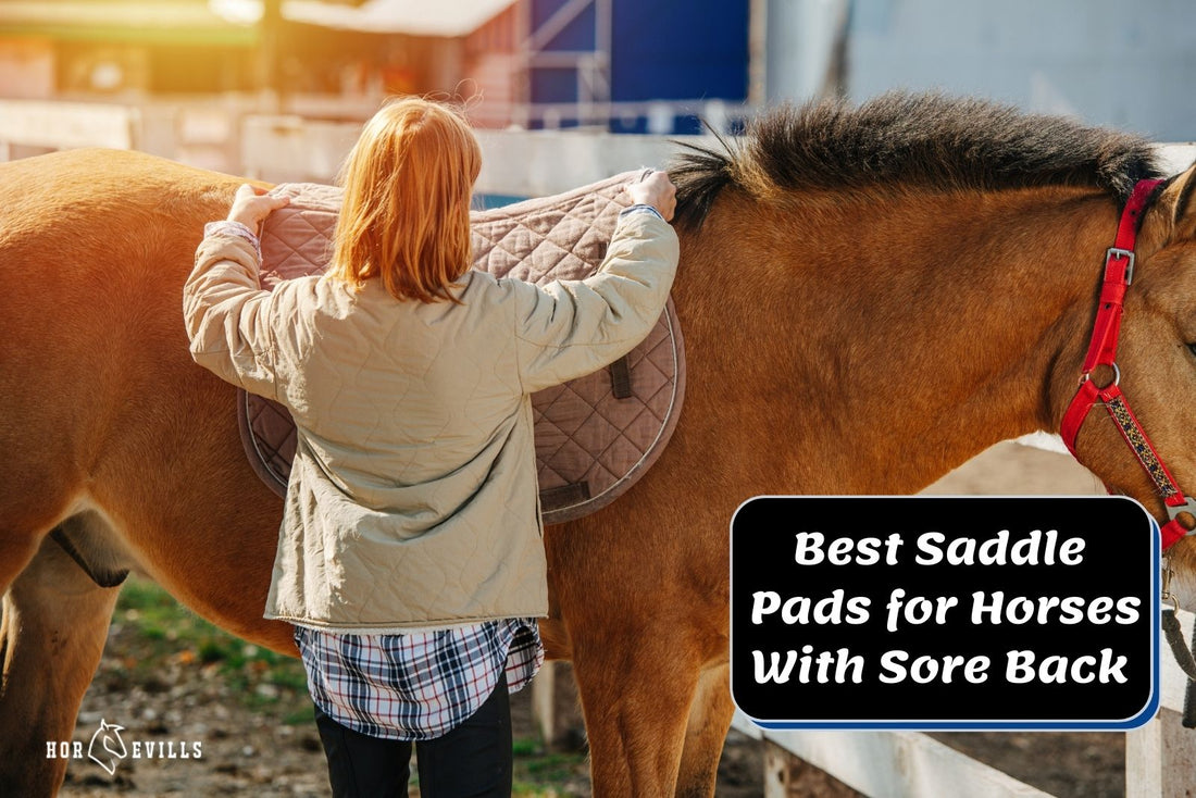 7 Best Saddle Pads for Horses With Sore Back (Equestrian Review)