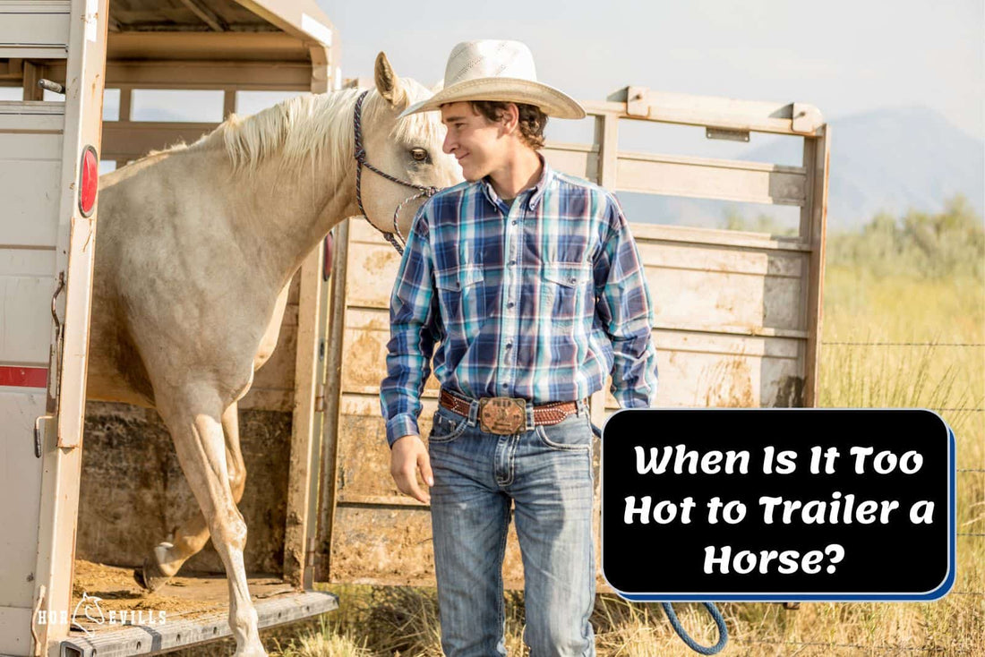 When Is It Too Hot to Trailer a Horse? Things to Know!