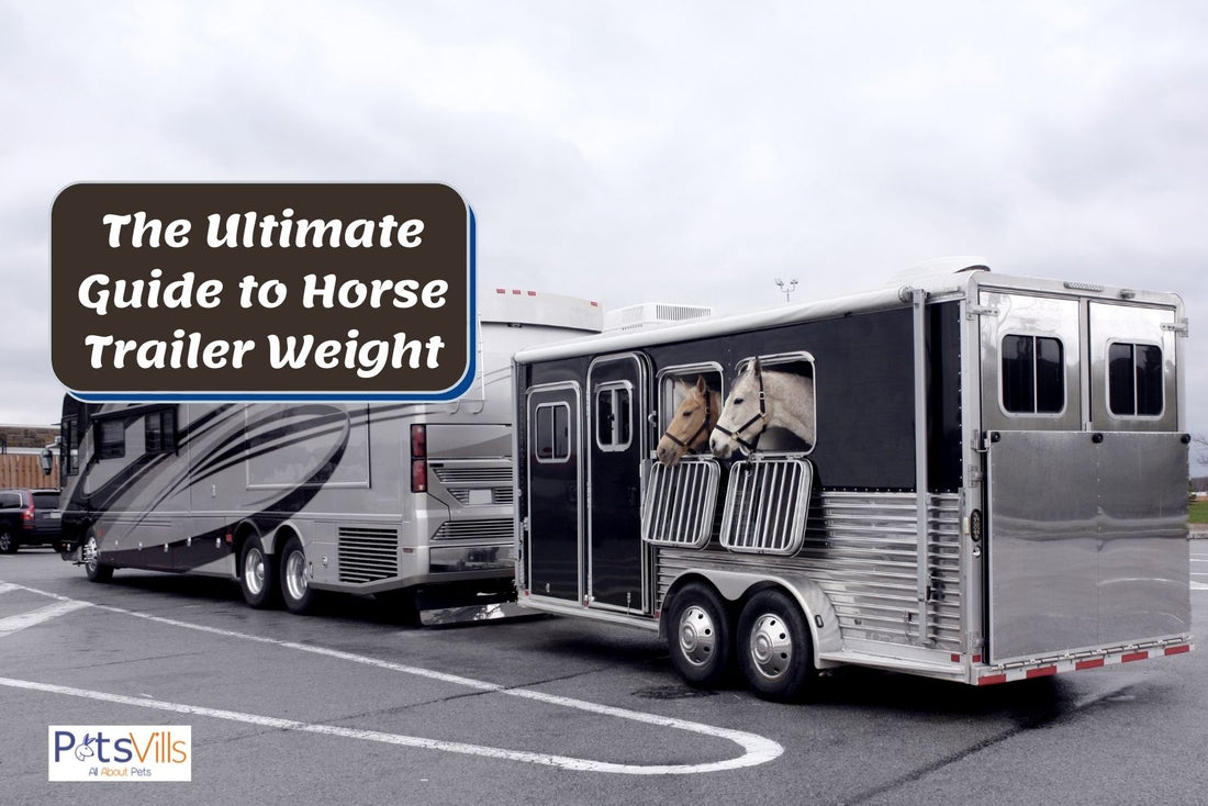 How Much Do Different-Sized Trailers Weigh?