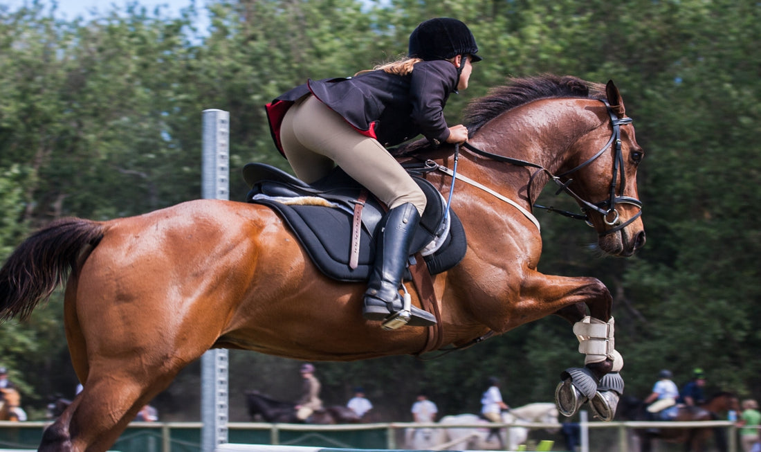 What are Bell Boots Used for on Horses?