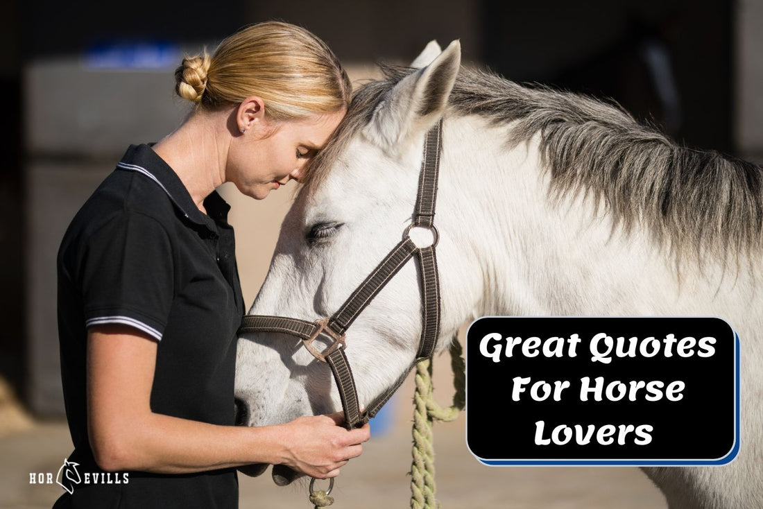 20 Great Quotes for Horse Lovers That'll Inspire You!