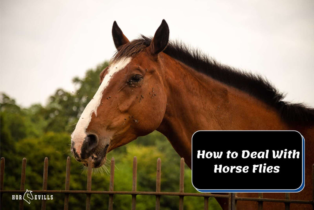 How to Deal With Horse Flies, Treat Bites & Protect Your Equine