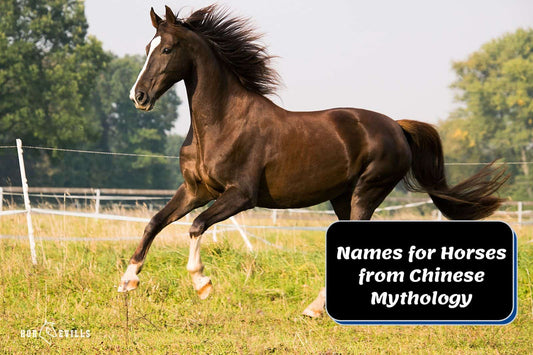 50 Stunning Names for Horses from Chinese Mythology [List]