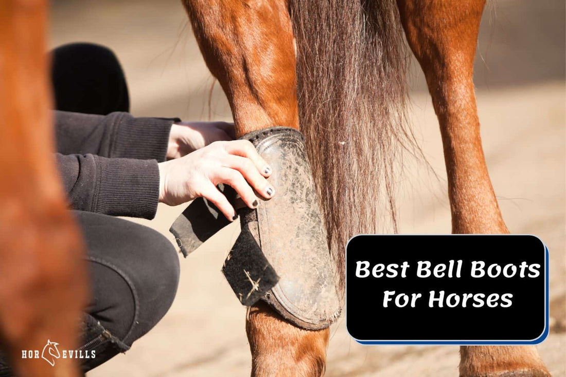 8 Best Bell Boots For Horses (Equestrian's Top Picks)