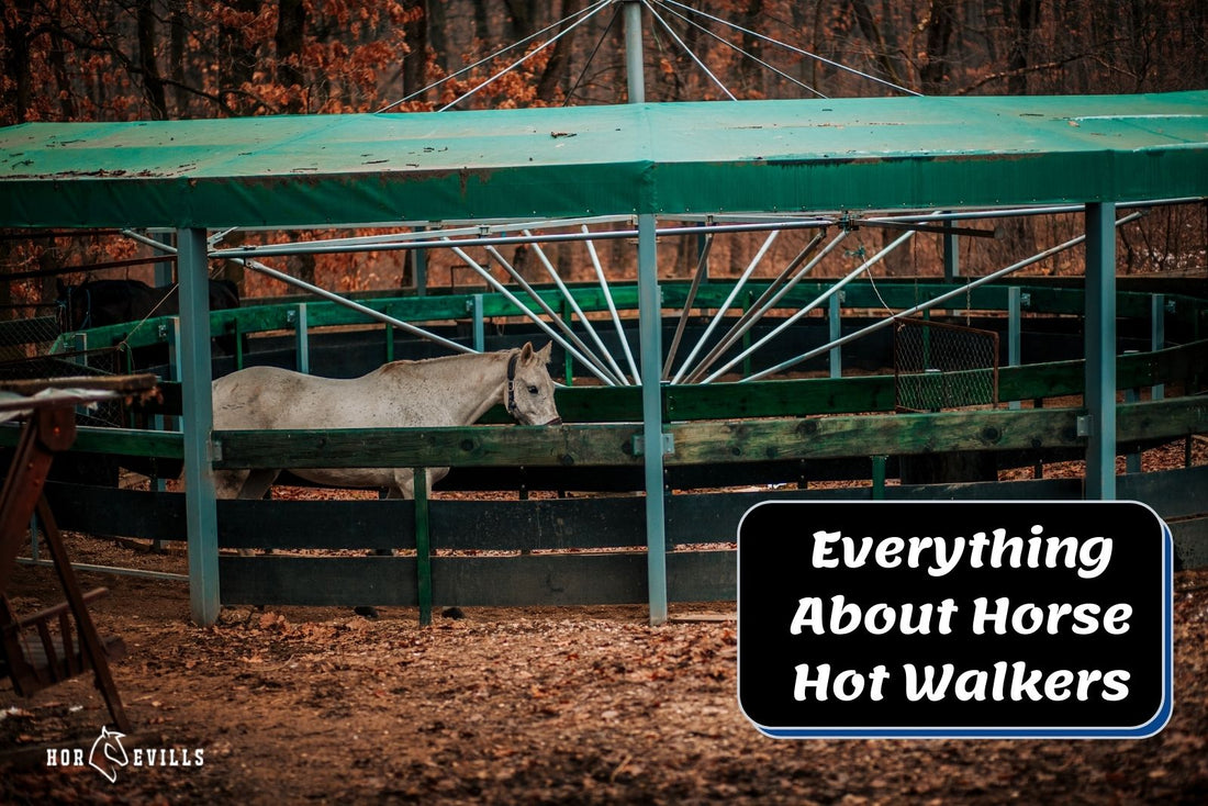 Your Complete Guide on Horse Hot Walkers