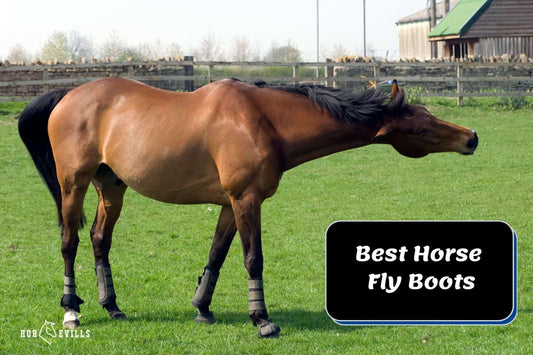 6 Best Fly Boots For Horses: Reviews And Buying Guide