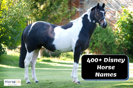 400+ Magical Disney Horse Names for Males & Females