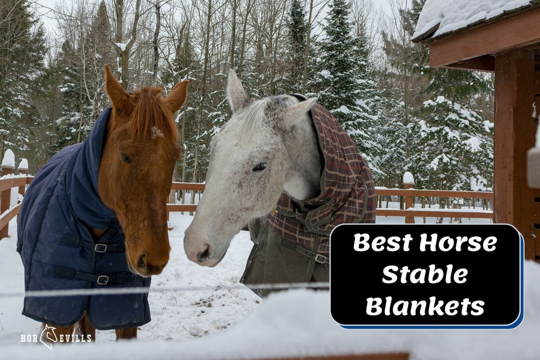 7 Best Horse Stable Blankets (Equestrian Review)