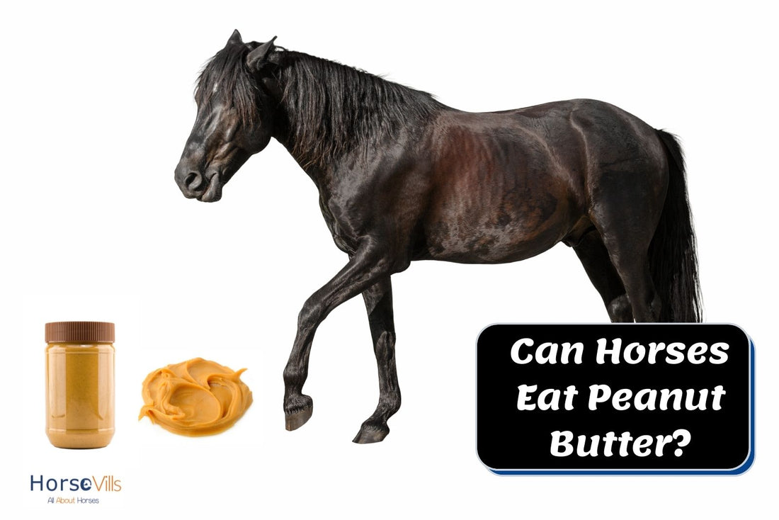 Can Horses Eat Peanut Butter? (Guide to Feeding Your Horse)