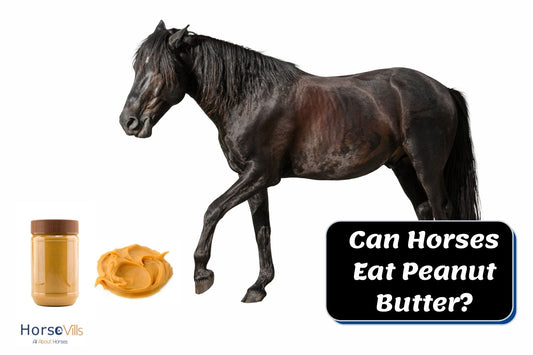 Can Horses Eat Peanut Butter? (Guide to Feeding Your Horse)