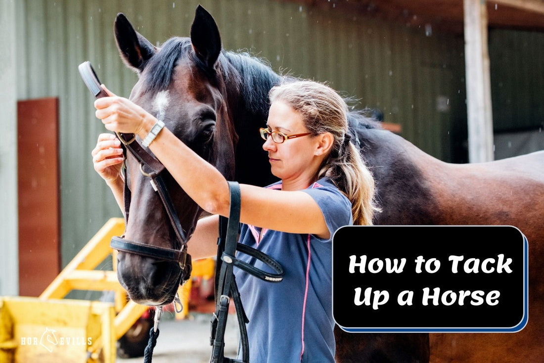 How To Tack Up a Horse - Guide For English & Western Riders