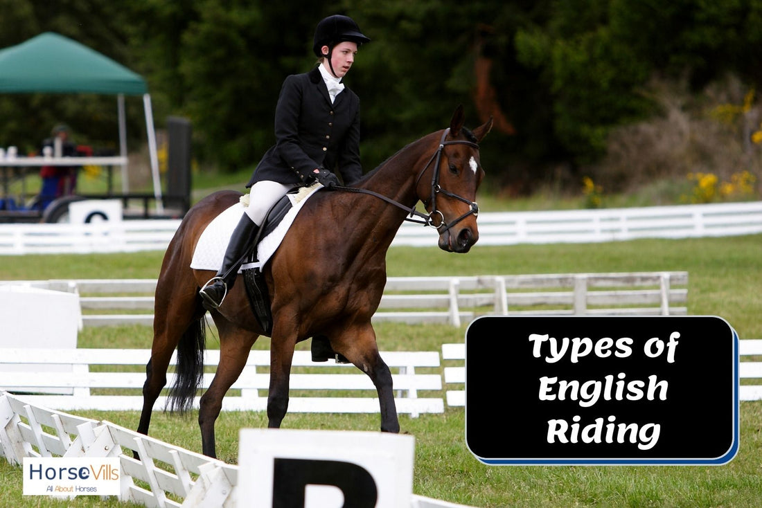 6 English Riding Disciplines for Every Equestrian