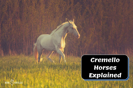 Cremello Horses: Cost, Characteristics, Behavior & Fun Facts