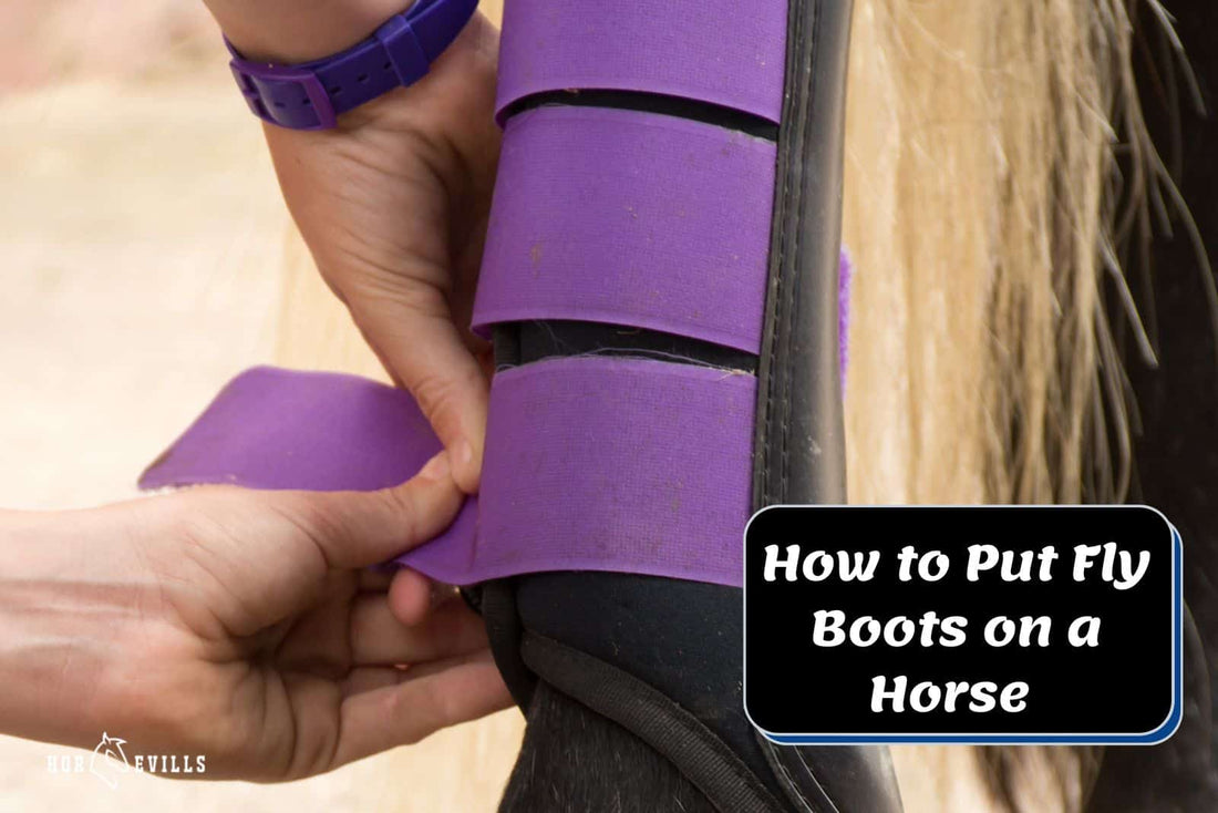 How to Put Fly Boots on a Horse: Guide for Equine's Comfort