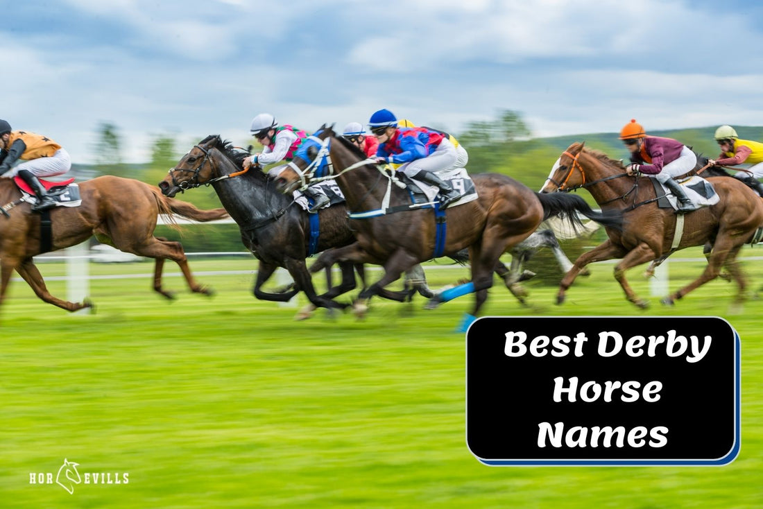 250+ Best Derby Horse Names: Unique and Inspiring Ideas!